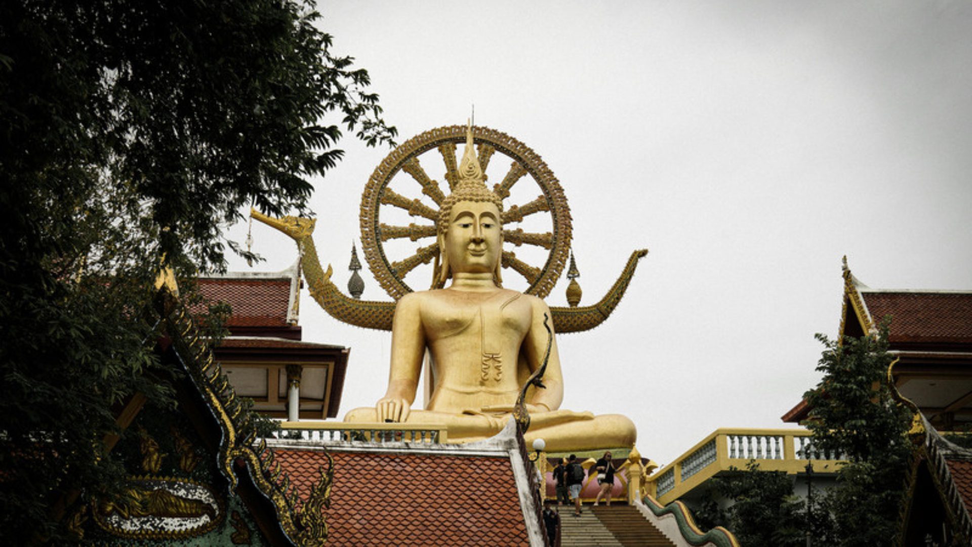 วัดวิเวกสันติธรรม photo 1
