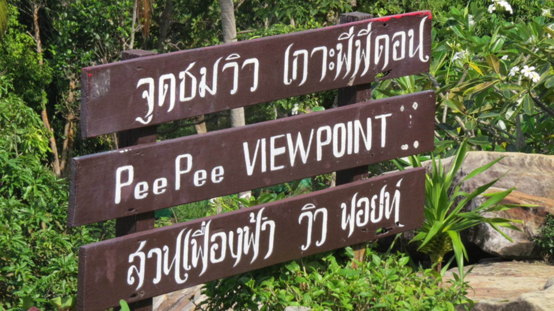Viewpoint 2 photo 5