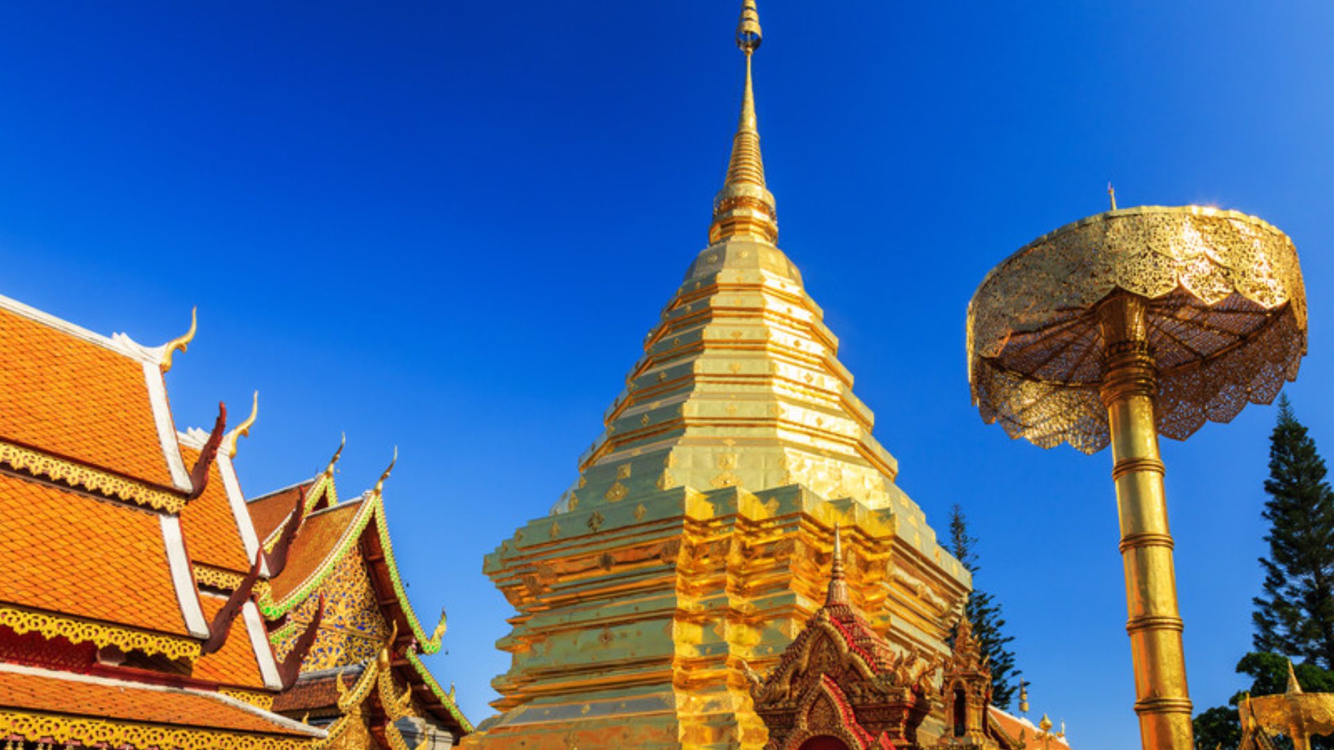 วัดวิเวกสันติธรรม photo 6
