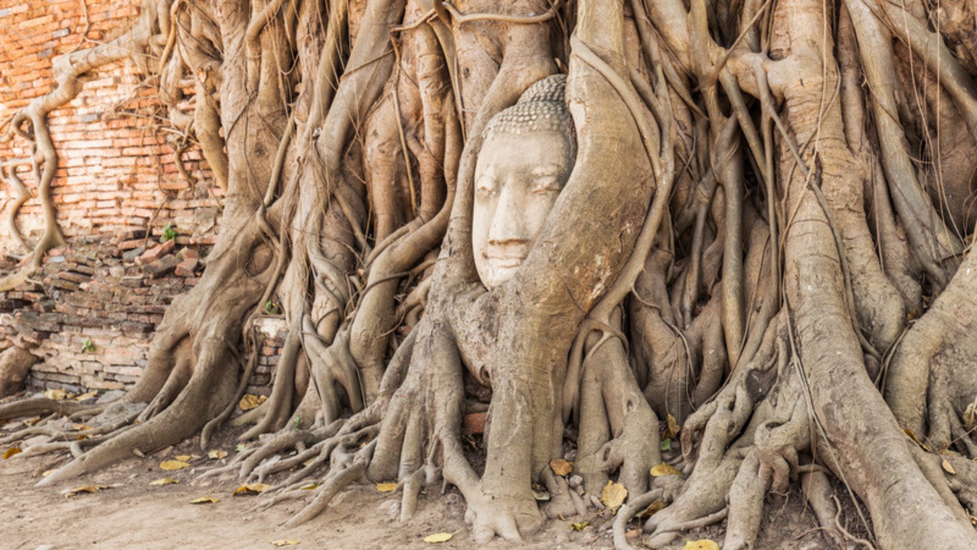 วัดแสนสุข photo 5