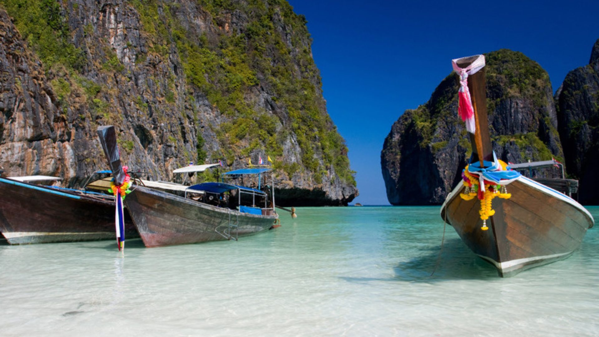 Maya Bay photo 19