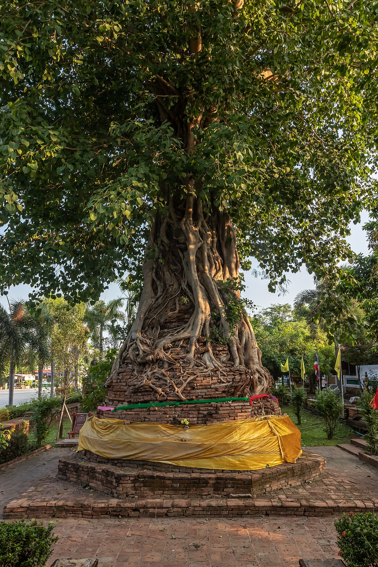 วัดหน้าพระเมรุราชิการาม photo 1