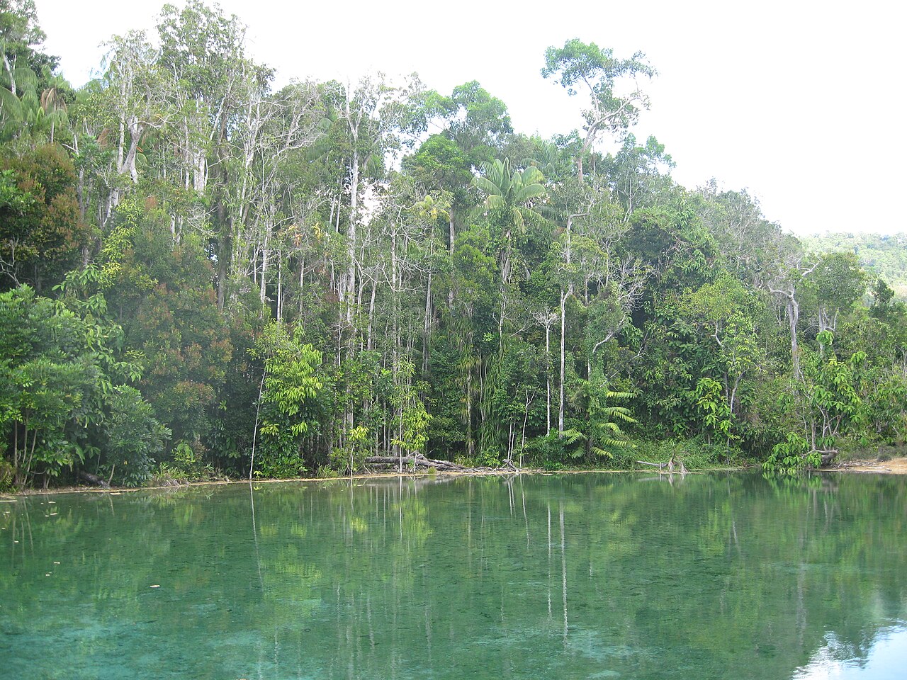 Emerald Pool photo 1