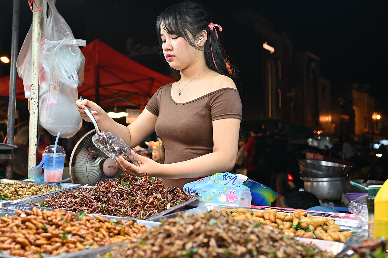 วัดศรีนวล photo 1
