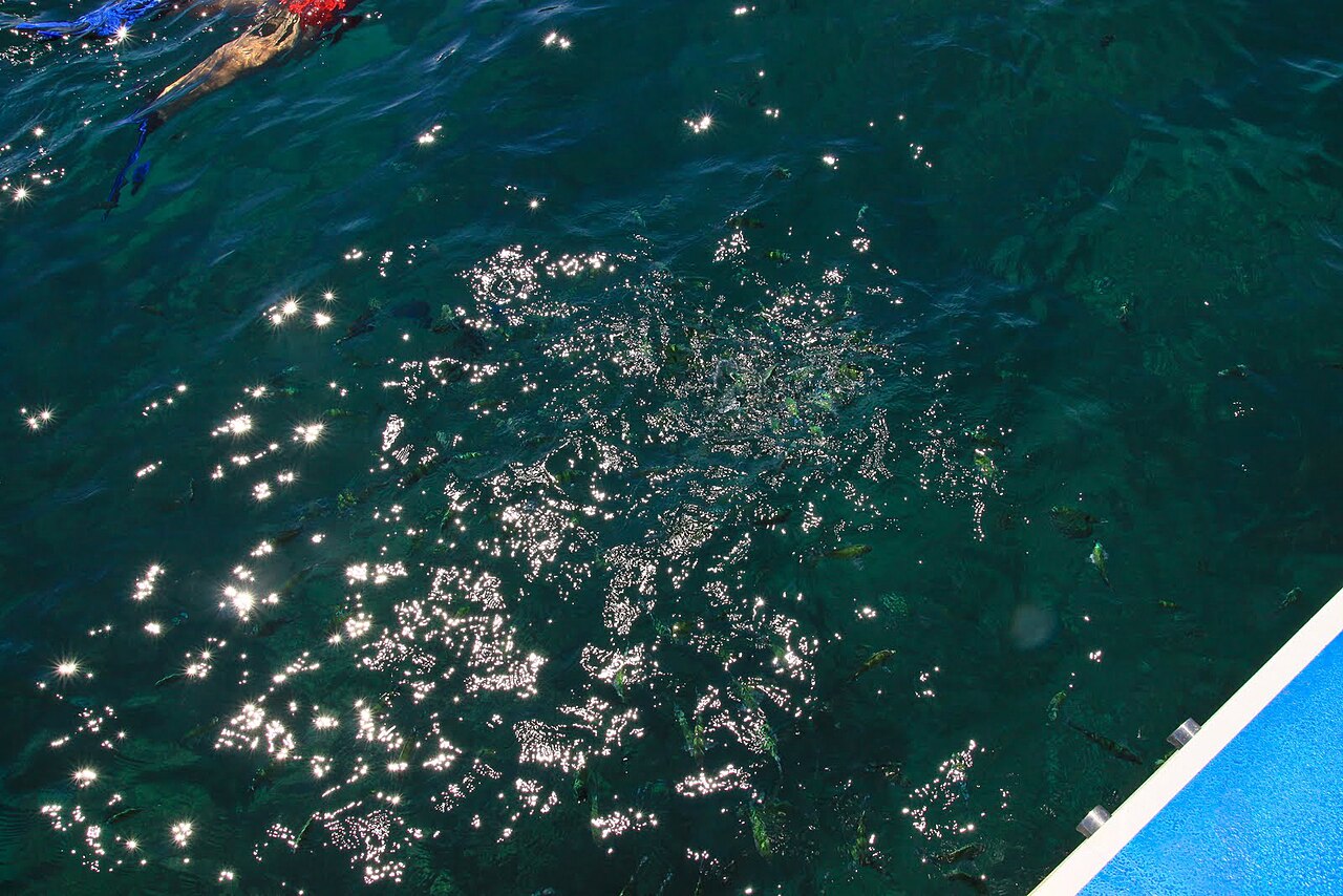 Loh Moo Dee Beach photo 1