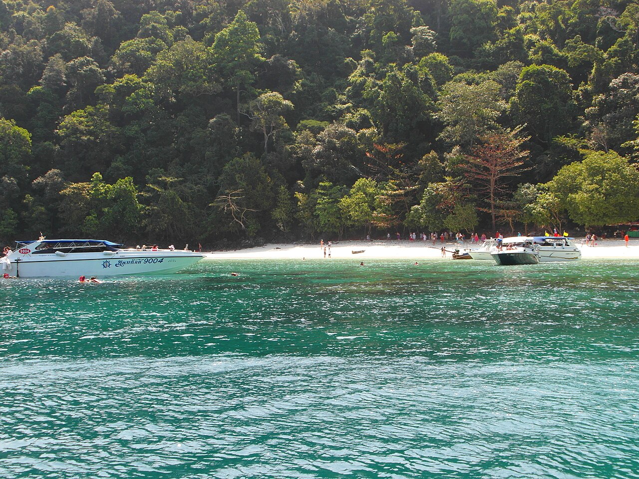 Monkey Beach photo 1