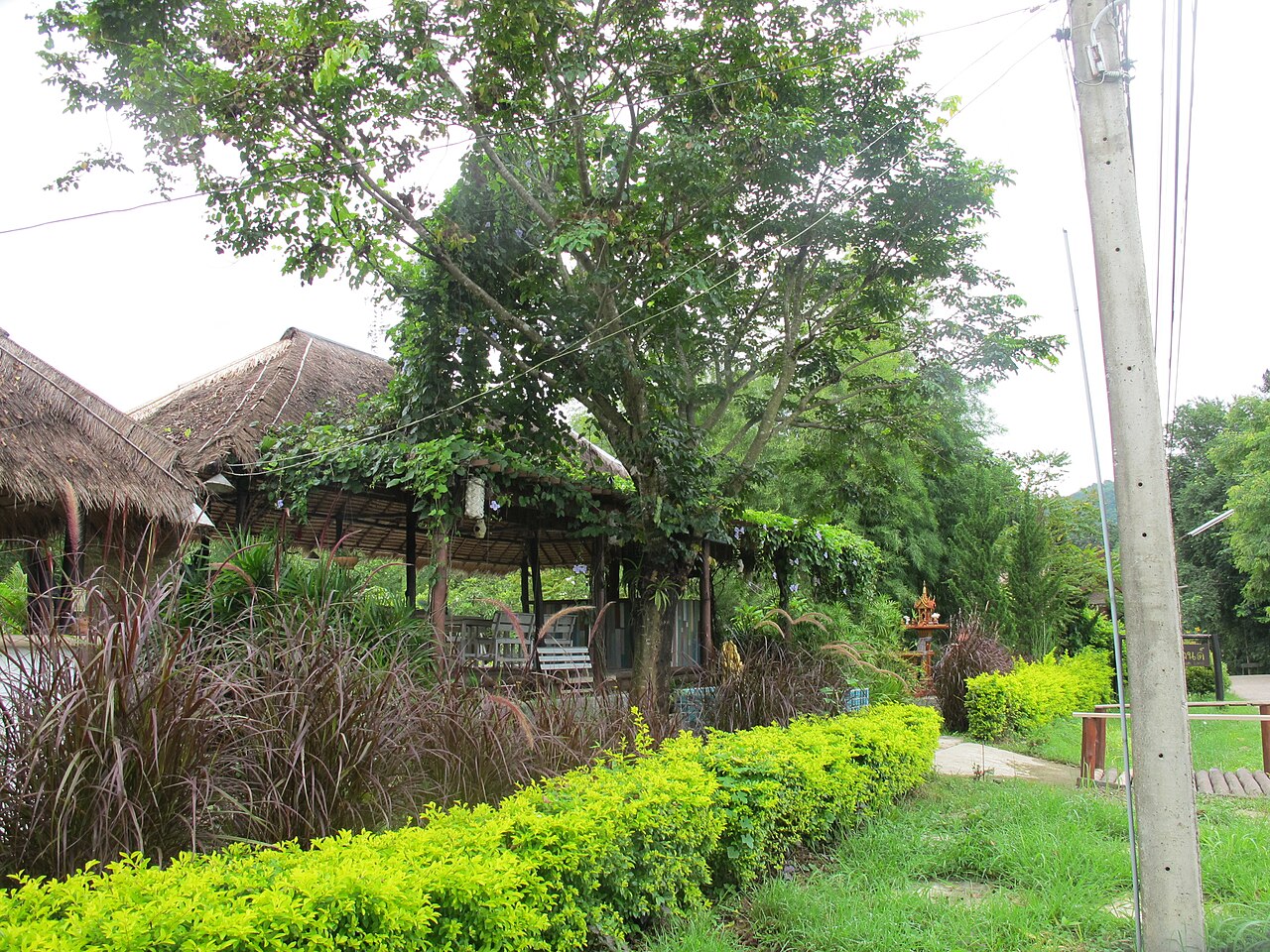 Long photo 1