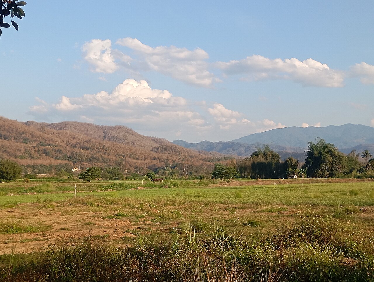 วัดทรายขาว photo 1